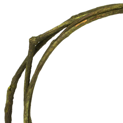 Vickerman 95-100" Basil Tranca Vine Coil 1 coil Dried