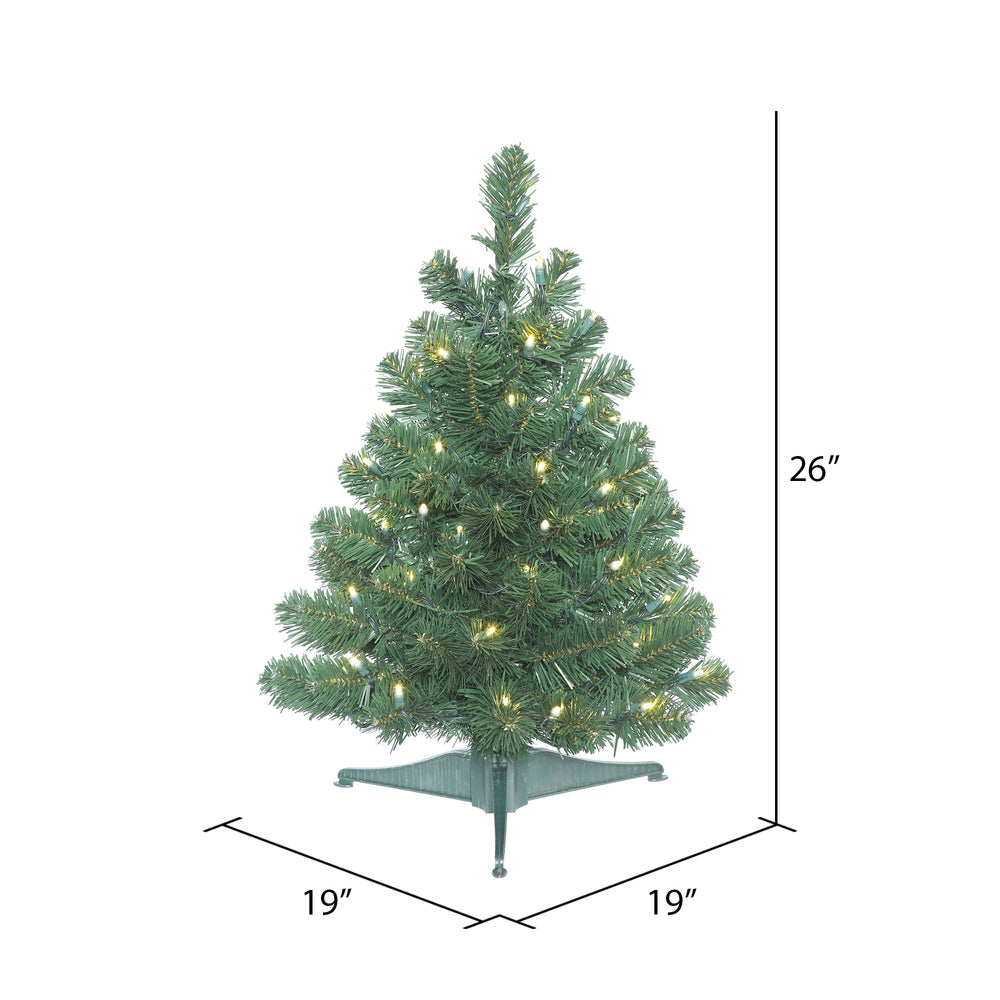 Vickerman 26" Oregon Fir Artificial Christmas Tree Wide Angle Single Mold Warm White LED Lights