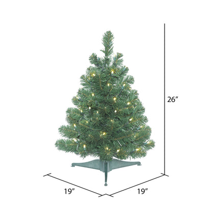 Vickerman 26" Oregon Fir Artificial Christmas Tree Wide Angle Single Mold Warm White LED Lights