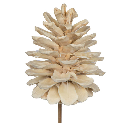 Vickerman Natural Botanicals 2" Blue Pine Bleached on Stem. Includes 25 pieces per unit.