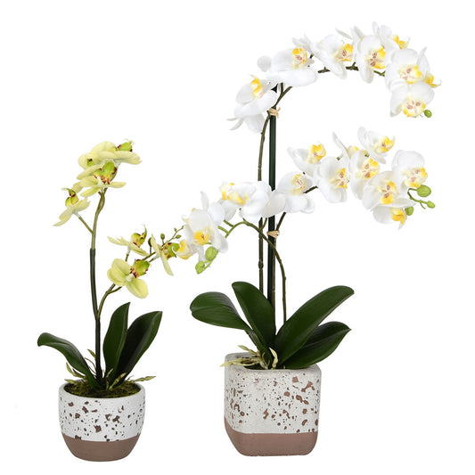 Vickerman 13.5" 18" Artificial Mini White Phalaenopsis Set Of 2 Real Touch