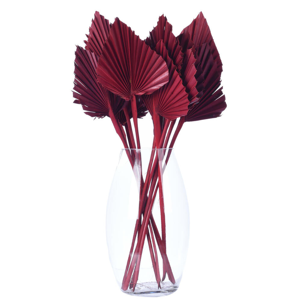 Vickerman Natural Botanicals 15.75 - 19.5" Deep Red Dried Palm Spear 12 per bag.