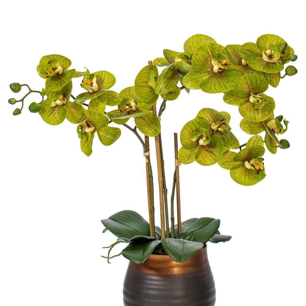 Vickerman 22" Artificial Potted Real Touch Green Phalaenopsis Spray.