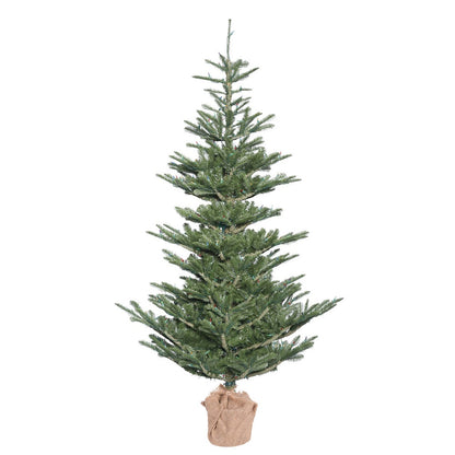 Vickerman 5' Alberta Spruce Artificial Christmas Tree Unlit