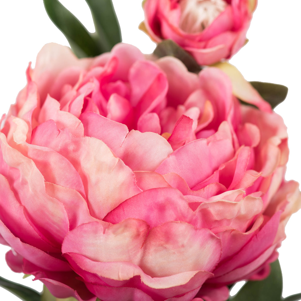 Vickerman 24" Artificial Pink Peony Stem Set of 3