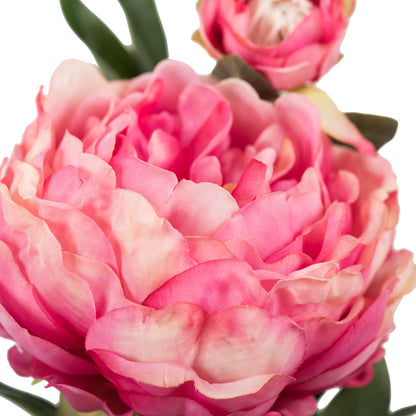 Vickerman 24" Artificial Pink Peony Stem Set of 3