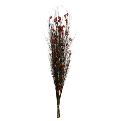 Vickerman 36-40" Red Bell Grass with Seed Pods 8-9 oz Bundle Preserved