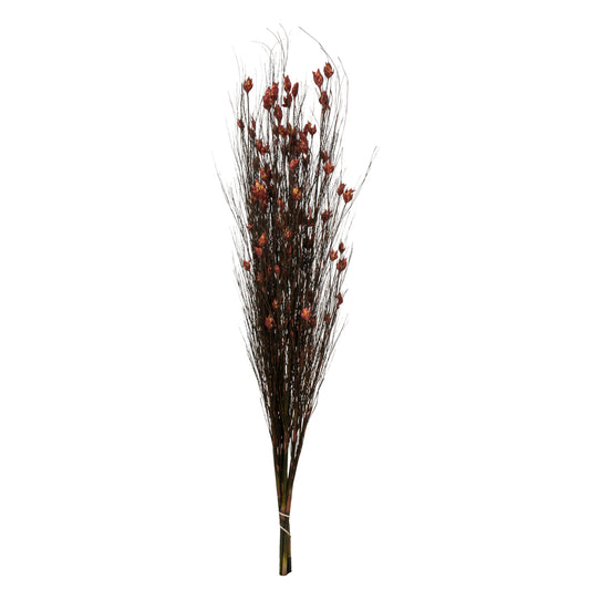 Vickerman 36-40" Red Bell Grass with Seed Pods 8-9 oz Bundle Preserved