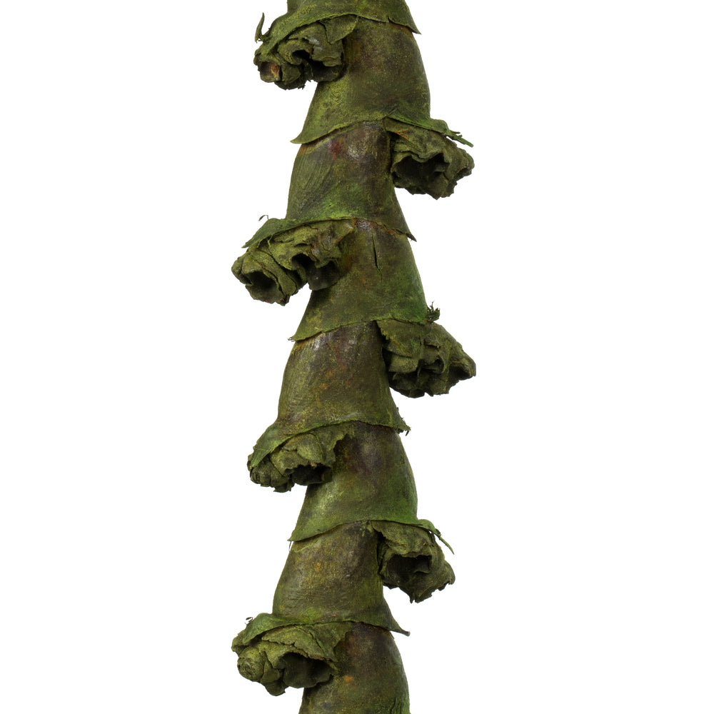 Vickerman 40-48" Basil Ladder Branches - XL straight 7 stems Dried