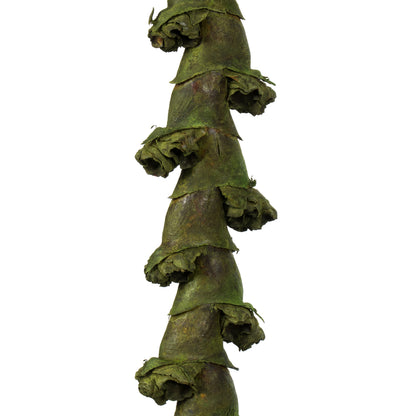Vickerman 40-48" Basil Ladder Branches - XL straight 7 stems Dried