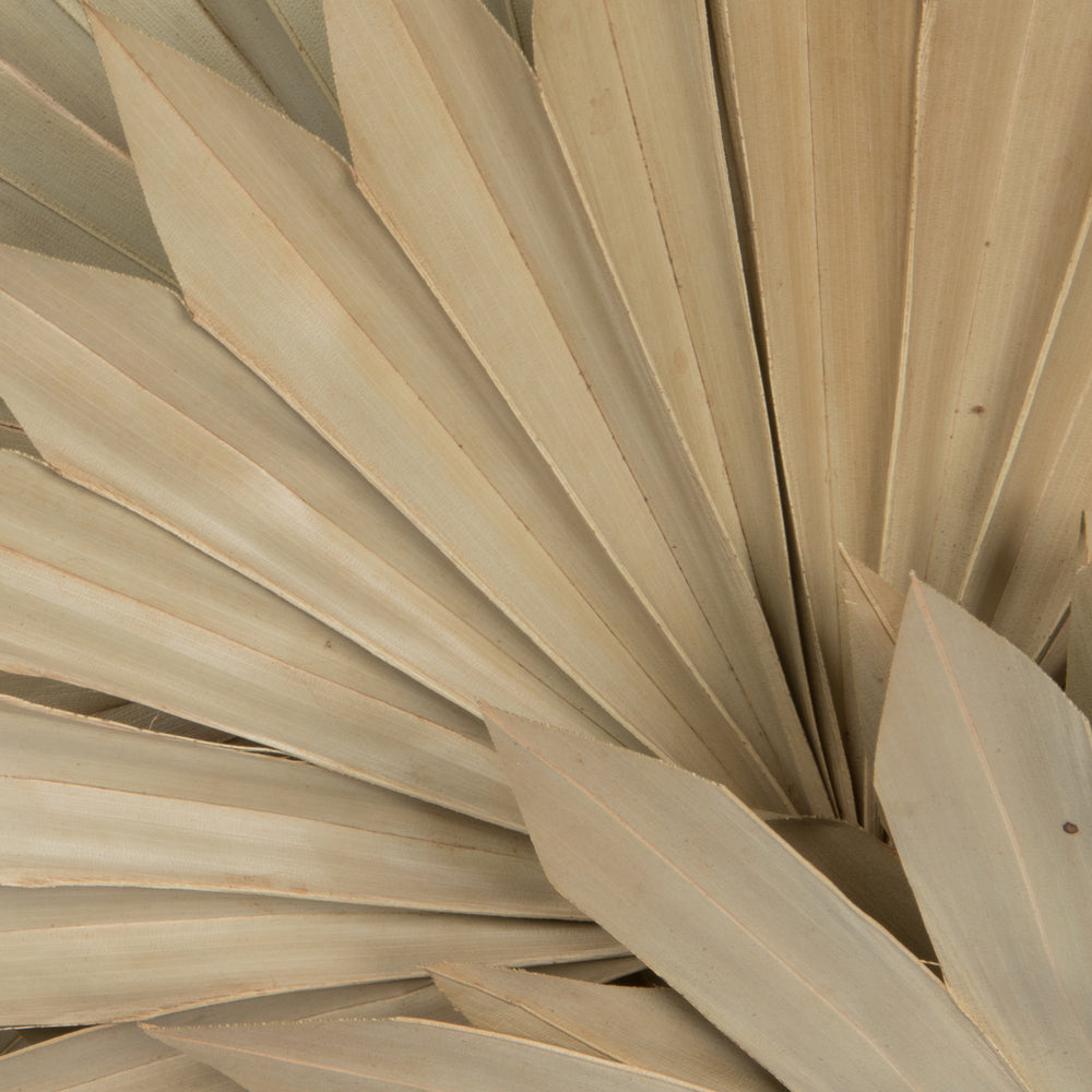Vickerman Natural Botanicals 20" Palm Sun Spear Natural. Includes 50 pieces per Pack.
