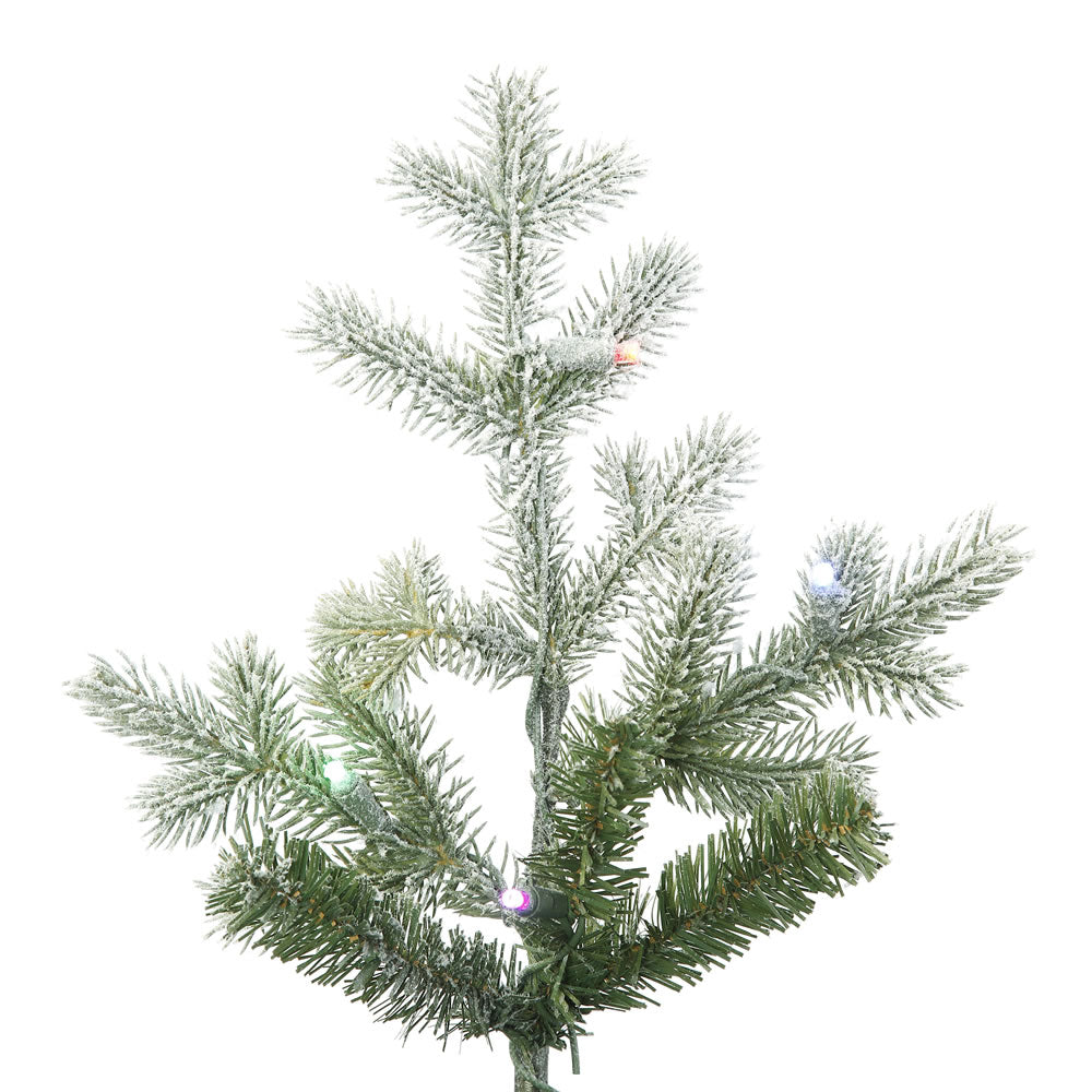 Vickerman 12' Frosted Denton Spruce Artificial Christmas Tree with 1600 Multi-Colored LED Lights