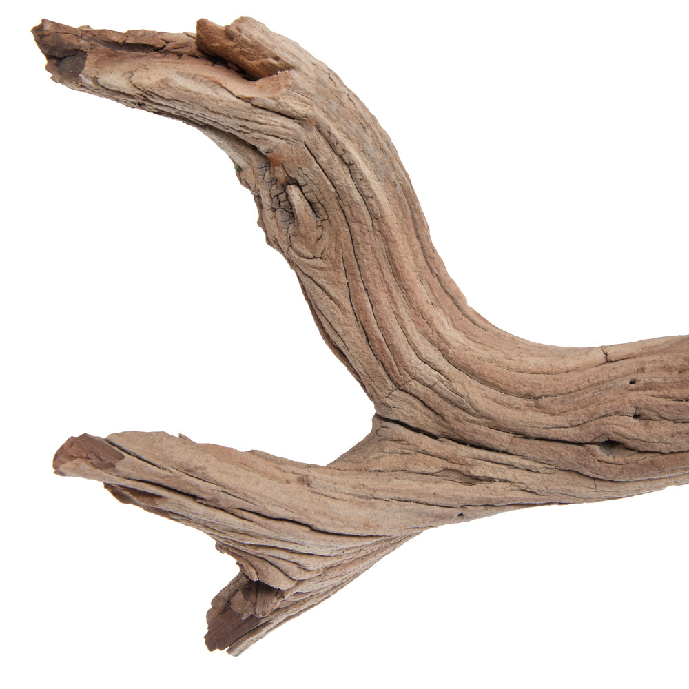 Vickerman Ghostwood Manzanita Sand Blasted 36" Dried