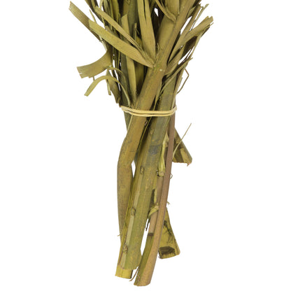 Vickerman 40-48" Basil Coco Palms - Twisted 6 stems Dried