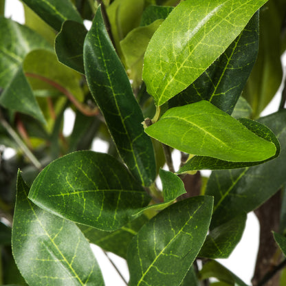 Vickerman 50" Artificial Potted Camellia Tree.