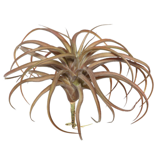 Vickerman 10.5" Artificial Red Tillandsia Pick.