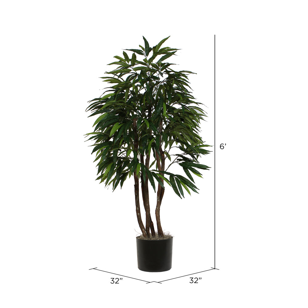 Vickerman 6' Artificial Mango Executive Black Plastic Pot