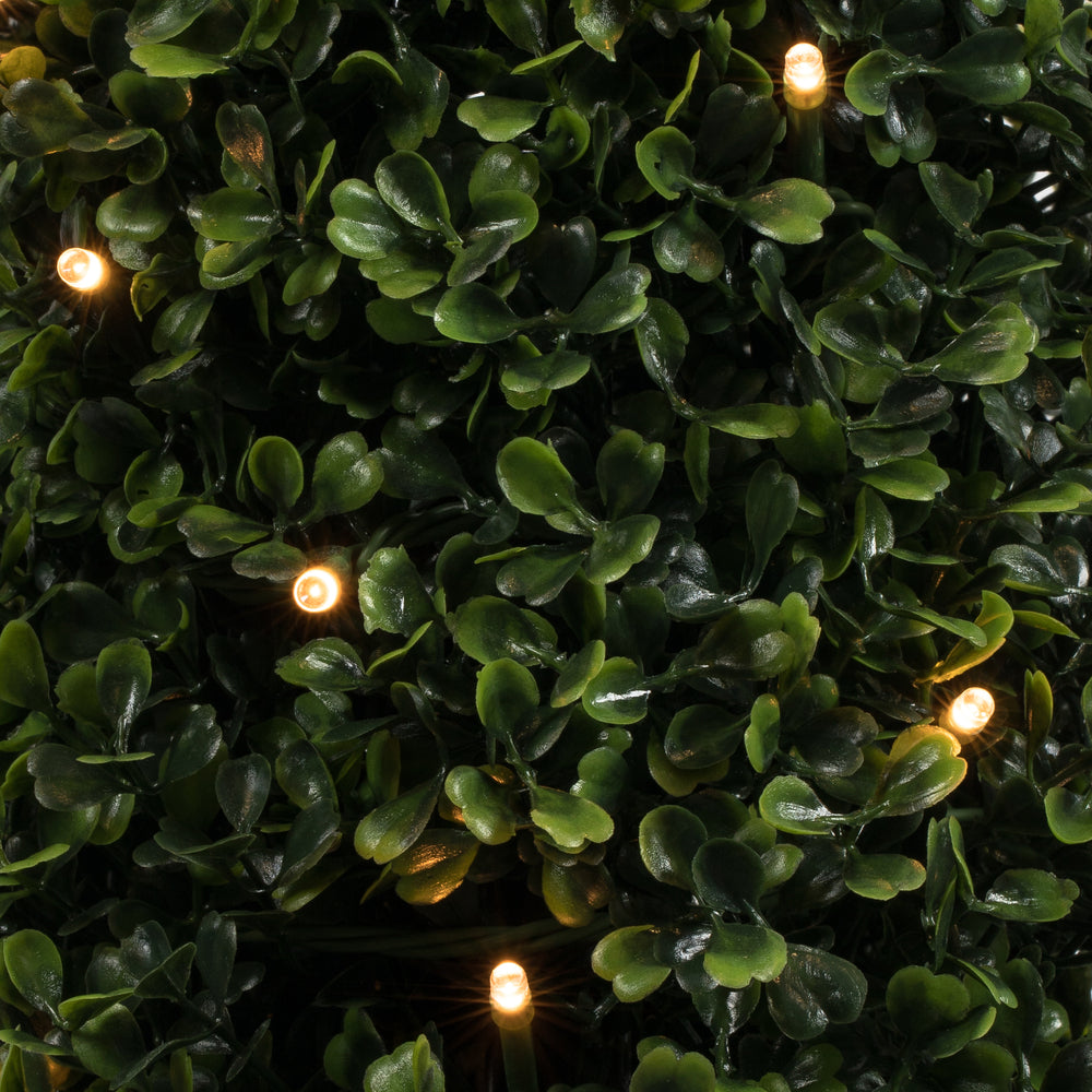 Vickerman 3' Potted Artificial Boxwood Cone with 70 Warm White LED Lghts.