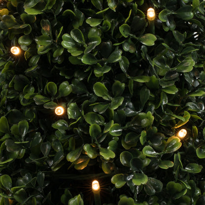 Vickerman 3' Potted Artificial Boxwood Cone with 70 Warm White LED Lghts.