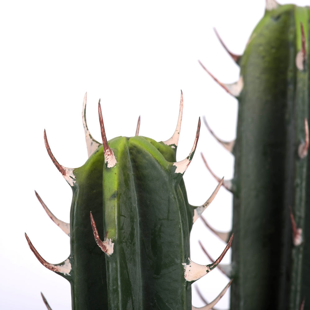 Vickerman 27.5" Artificial Green Cactus Plant.
