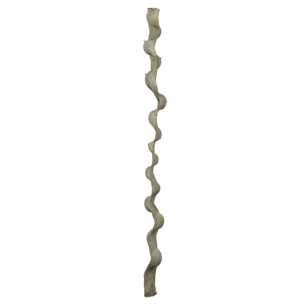Vickerman 36-40" Frosted Green Monkeys Ladder Vine Pack of 2 Dried