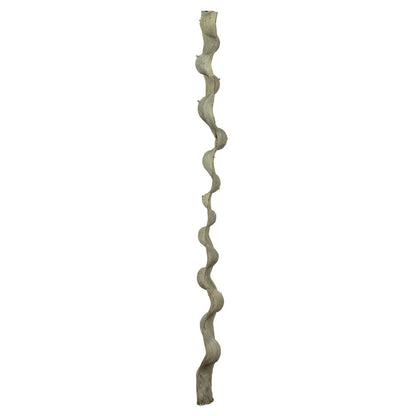 Vickerman 36-40" Frosted Green Monkeys Ladder Vine Pack of 2 Dried