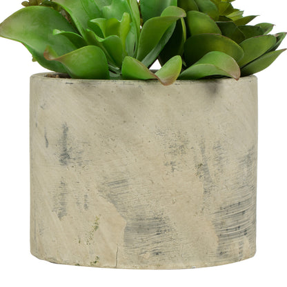 Vickerman 8" Artificial Succulent Arrangement.