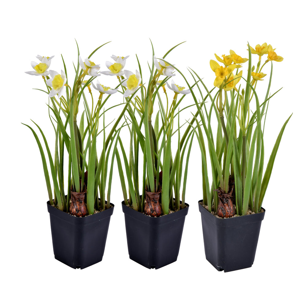 Vickerman 12" Artificial Daffodils in Black Plastic Planters Pots Set of 3.