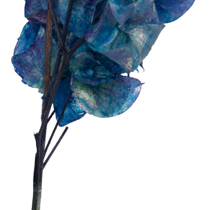 Vickerman 13.5-17" Navy Dried Cara Blossom Bundle Preserved.