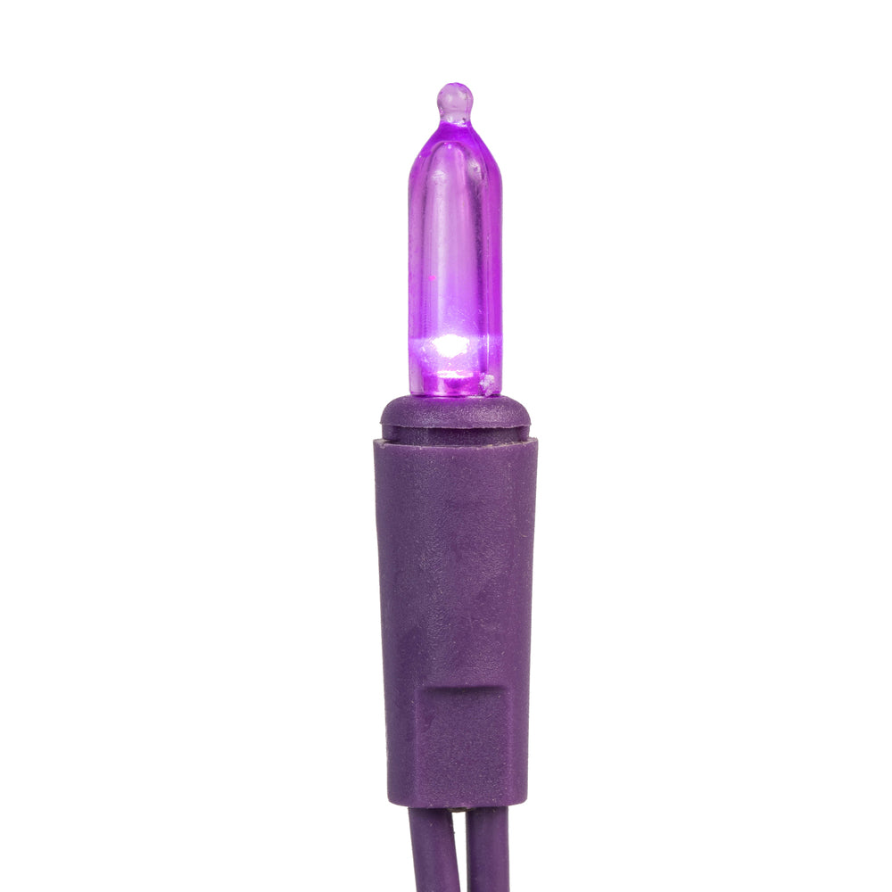 Vickerman 35 LED Purple Dura-Lit Light on Purple Wire, 26' Christmas Light Strand