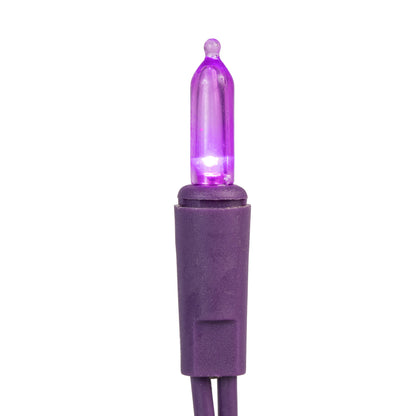 Vickerman 35 LED Purple Dura-Lit Light on Purple Wire, 26' Christmas Light Strand