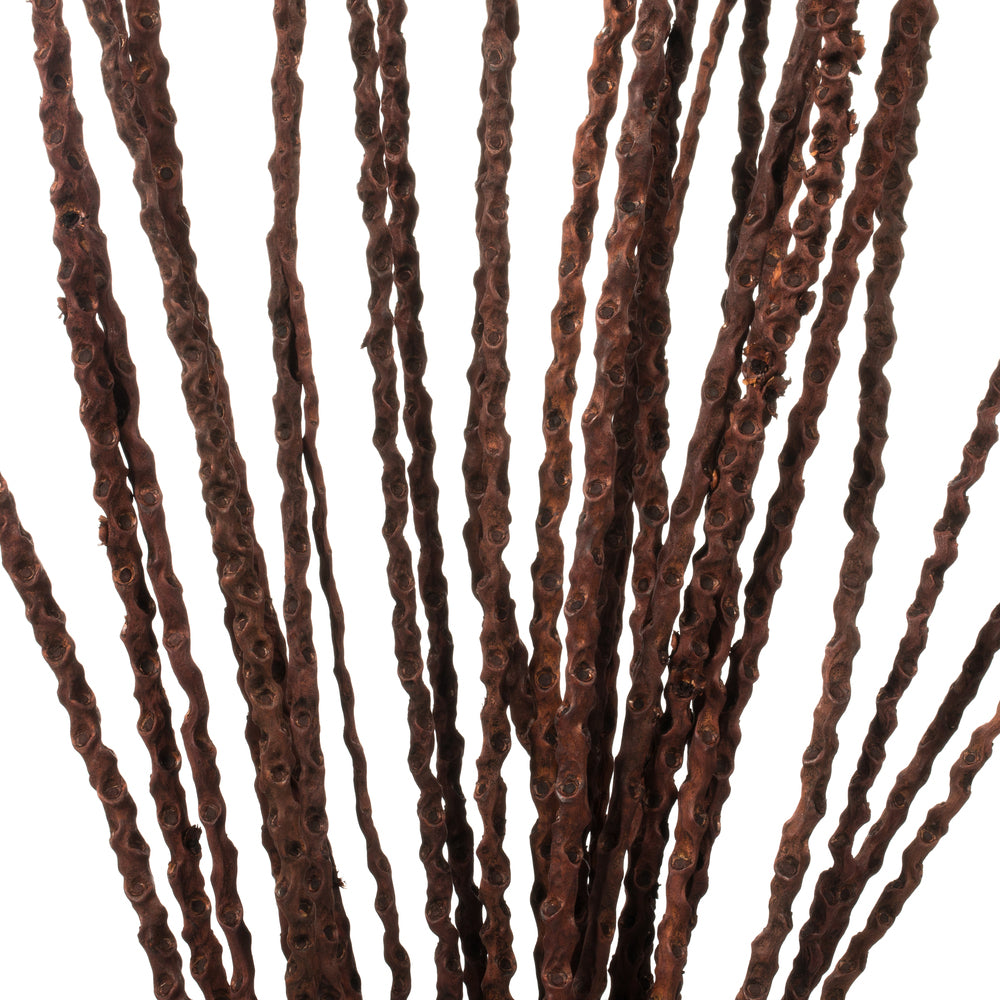 Vickerman 36-40" Dark Brown Caba Spine Bundle. Includes 24oz (3 -8oz Bundles) Dried