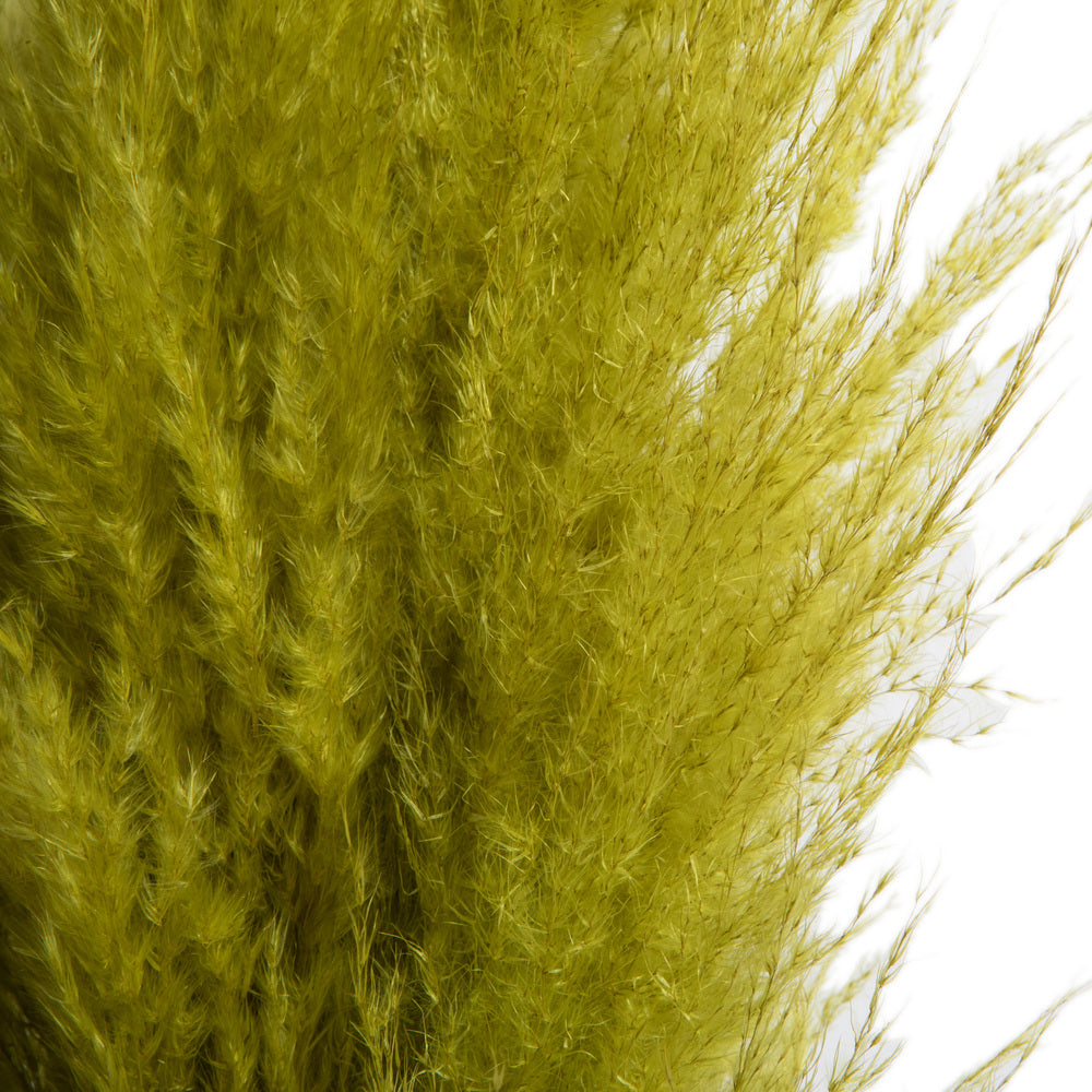 Vickerman 46" Dried Light Basil Green Pampas 6 pack. It includes two stems. Recommended for Indoor.