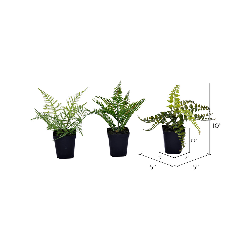 Vickerman 10" Artificial Green Potted Fern Assortment Set of 3