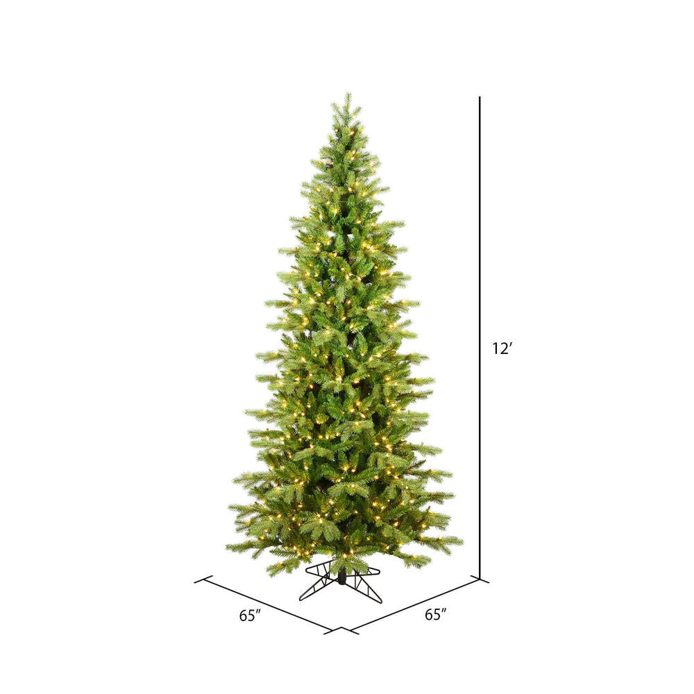 Vickerman 12' x 65" Balsam Spruce Slim Tree 3mm 2850 Warm White Low Voltage 3MM LED Lights.