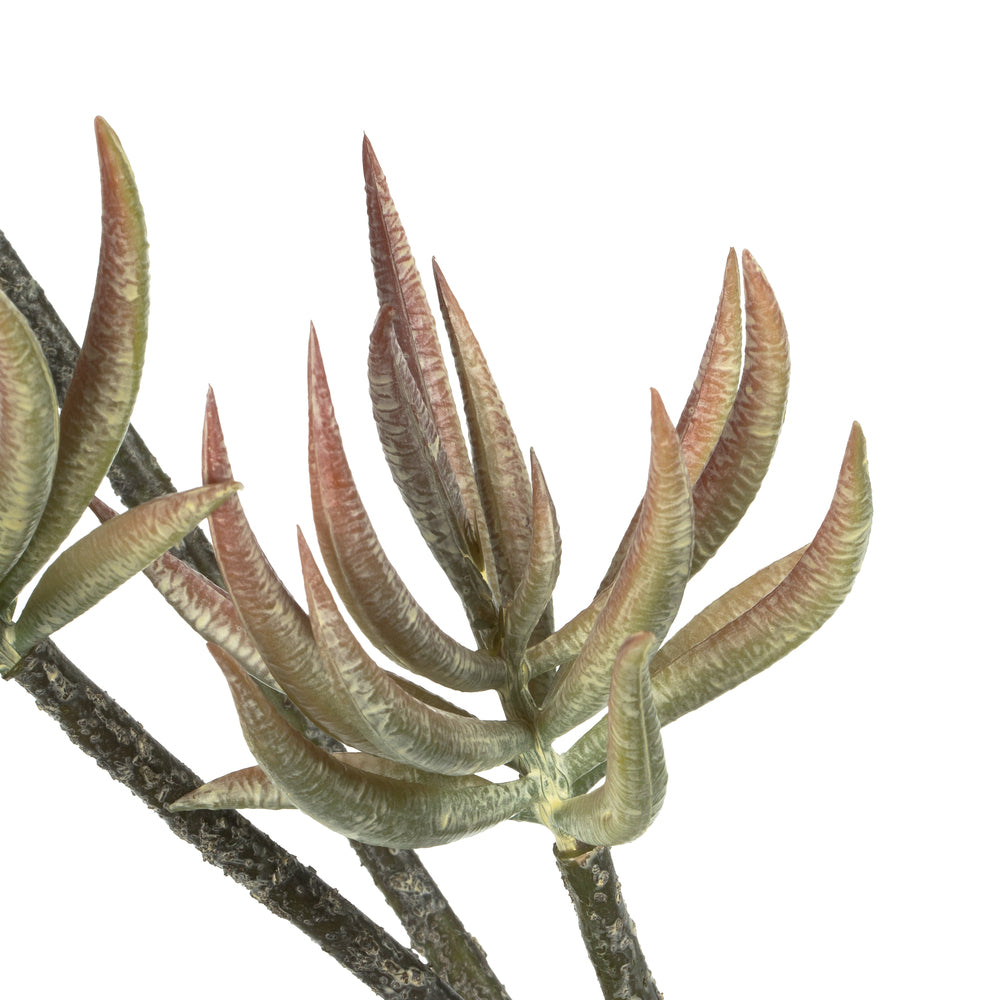 Vickerman 24" Artificial Mixed Green Aloe Spray. Includes 3 sprays per pack.