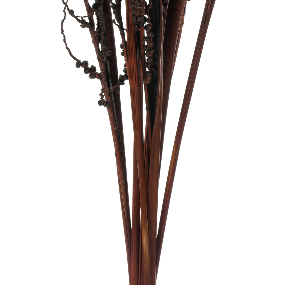 Vickerman 36" Dark Brown Bahia Spears Seeded 9 stems Dried