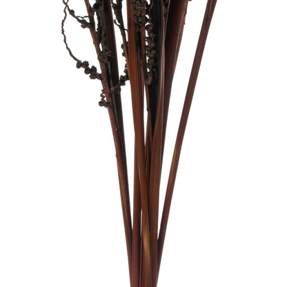 Vickerman 36" Dark Brown Bahia Spears Seeded 9 stems Dried