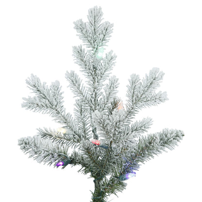 Vickerman 4.5' Frosted Eastern Fraser Fir Artificial Christmas Tree Multi-colored Dura-Lit LED lights
