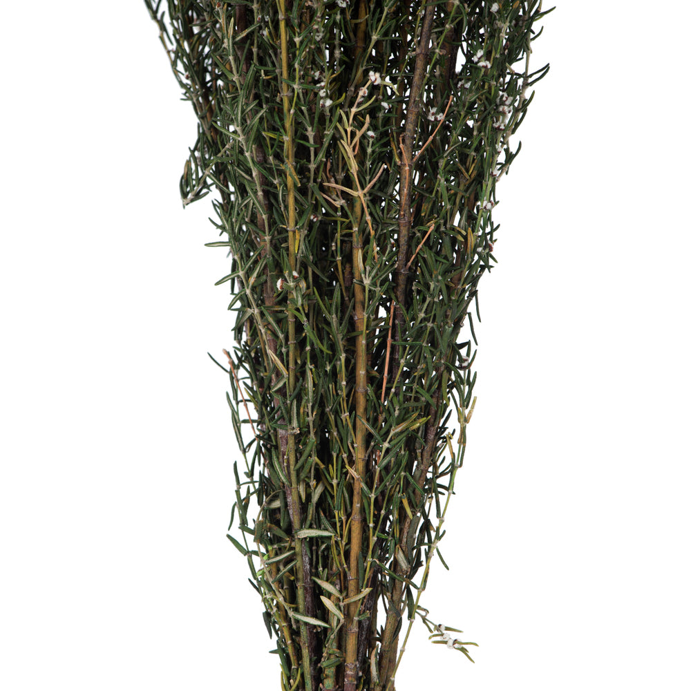 Vickerman 22-26" Natural White Grabia 5-6 oz Bundle Preserved