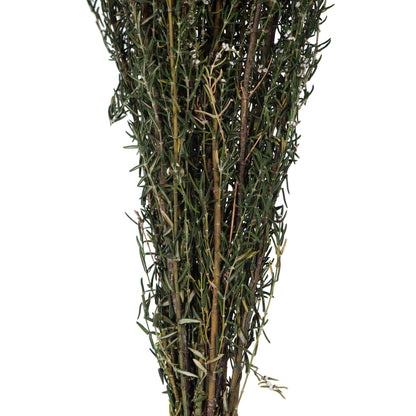 Vickerman 22-26" Natural White Grabia 5-6 oz Bundle Preserved