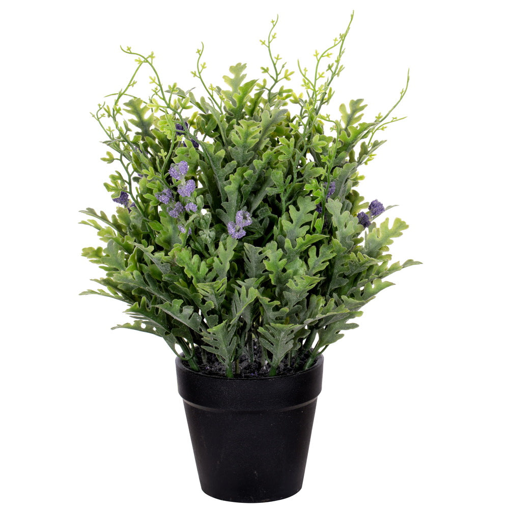 Vickerman 11" Green Artificial Senecio Cineraria in Plastic Pot.