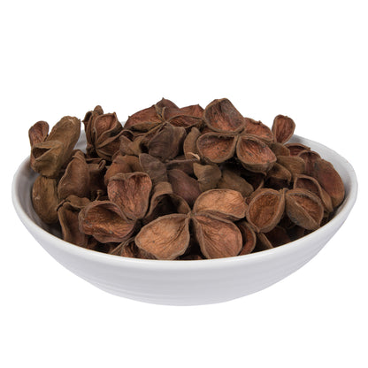 Vickerman Natural Botanicals 3.2"-4" Land Lotus. Includes 50 pieces per Pack.