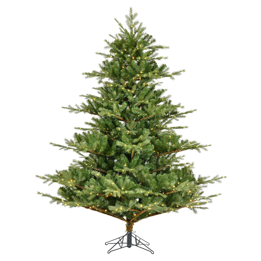 Vickerman 6.5' x 63" Sherwood Fir Tree LED. Features 2216 PE/PVC Tips