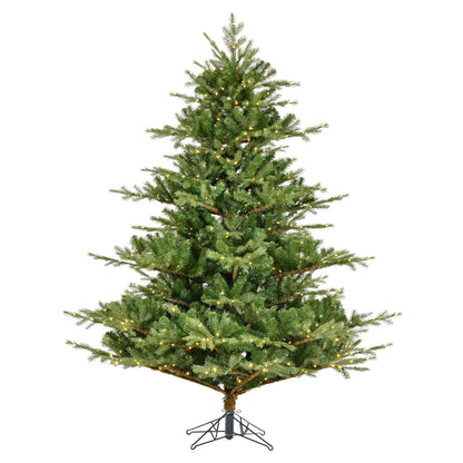 Vickerman 6.5' x 63" Sherwood Fir Tree LED. Features 2216 PE/PVC Tips