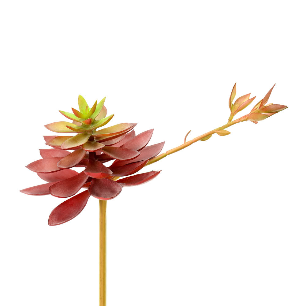 Vickerman 6" Artificial Black Prince Echeveria Pick Set of 3