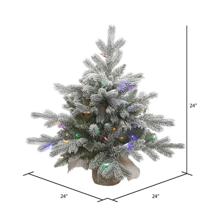 Vickerman 24" Frosted Sable Pine Artificial Christmas Tree Multi-Colored Dura-Lit® LED Lights.