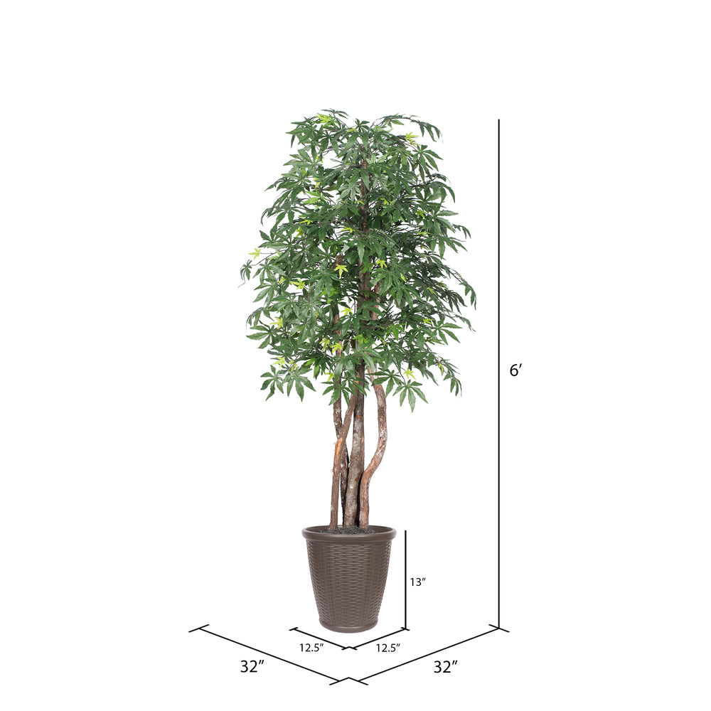Vickerman 6' Artificial Japanese Maple Executive Tree Brown Round Plastic Container.