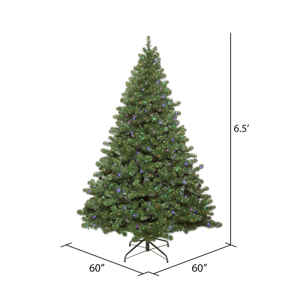 Vickerman 6.5' Oregon Fir Artificial Christmas Tree Wide Angle Single Mold Multi-Colored LED Lights