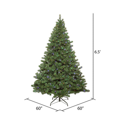 Vickerman 6.5' Oregon Fir Artificial Christmas Tree Wide Angle Single Mold Multi-Colored LED Lights